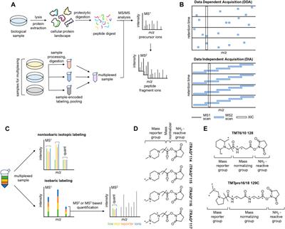 Quantitative proteomics and applications in covalent ligand discovery